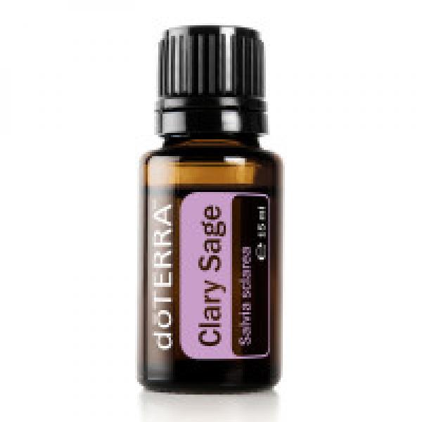 Clary Sage = Muskatellersalbei